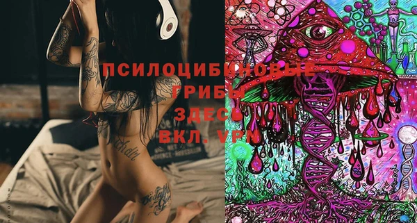 Альфа ПВП Медвежьегорск