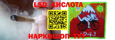 ГАЛЛЮЦИНОГЕННЫЕ ГРИБЫ Заводоуковск