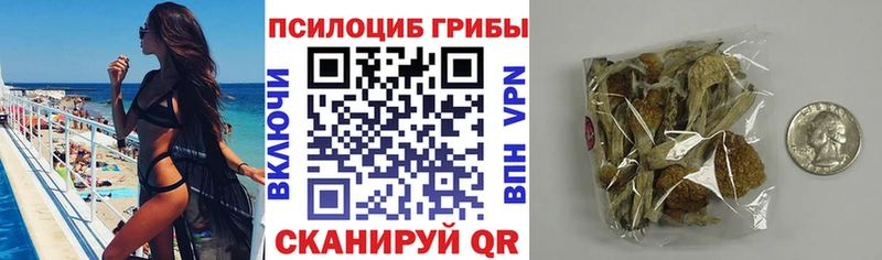 наркотики  Михайловск  Псилоцибиновые грибы Magic Shrooms 